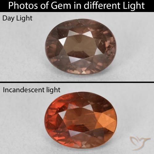 1.65ct Natural Marrón claro medio Granate que cambia de color, Ovalada, VS
