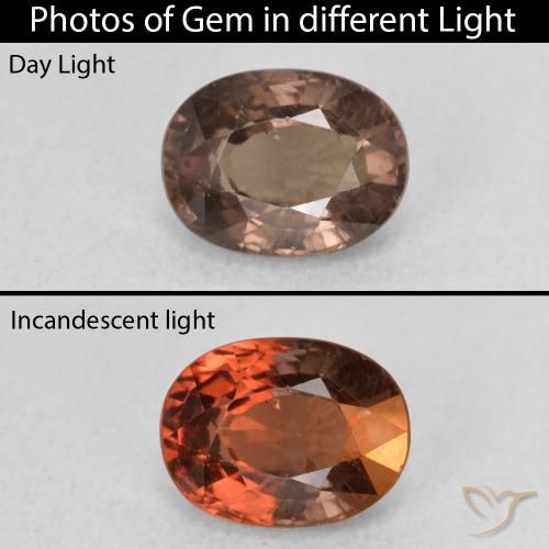 1.27ct Natural Marrón claro medio Granate que cambia de color, Ovalada, VS