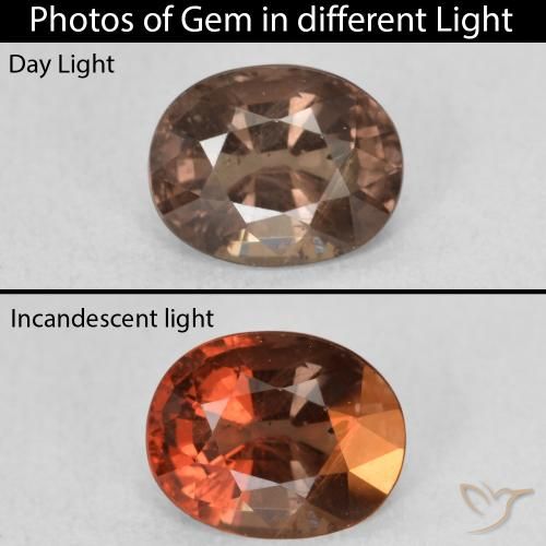 1.29ct Natural Marrón claro medio Granate que cambia de color, Ovalada, VS