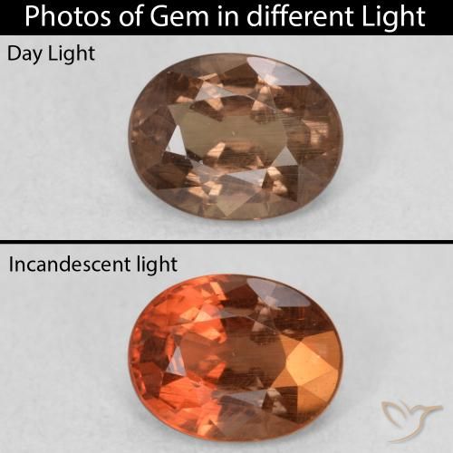 0.82ct Natural Marrón claro medio Granate que cambia de color, Ovalada, VS