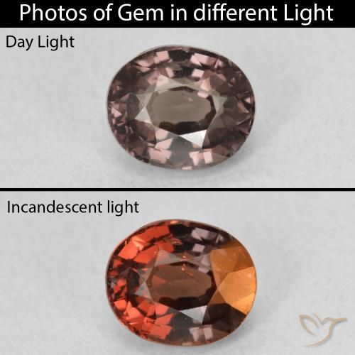1.36ct Natural Marrón oscuro Granate que cambia de color, Ovalada, VS