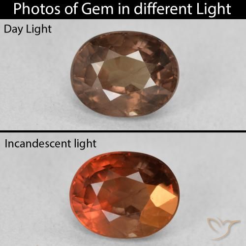 1.57ct Natural Marrón oscuro Granate que cambia de color, Ovalada, VS