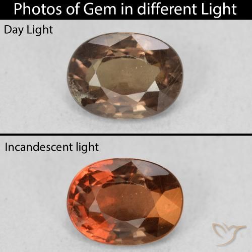 1.16ct Natural Marrón oscuro Granate que cambia de color, Ovalada, VS