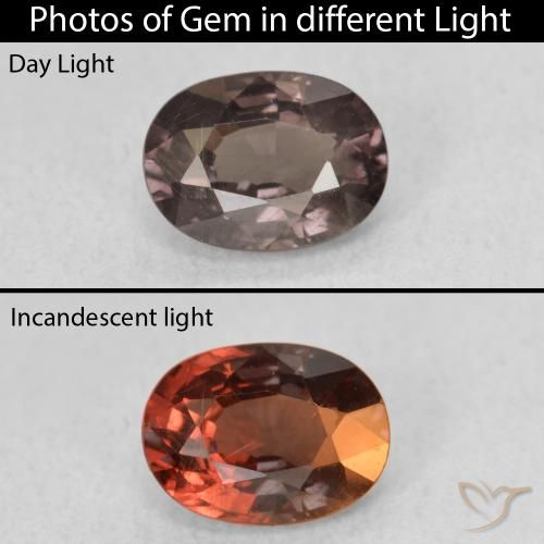 1.06ct Natural Marrón oscuro Granate que cambia de color, Ovalada, VS