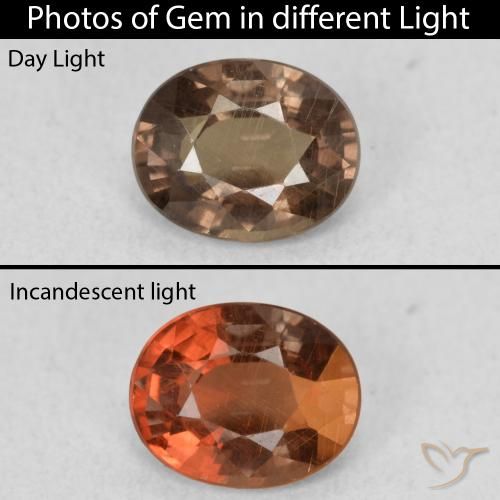 1.01ct Natural Marrón oscuro Granate que cambia de color, Ovalada, VS