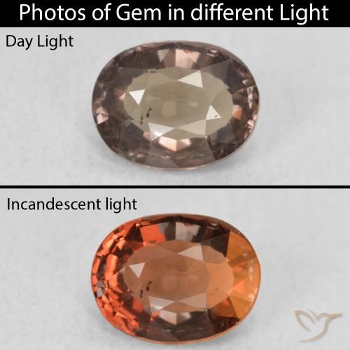 0.94ct Natural Marrón oscuro Granate que cambia de color, Ovalada, VS