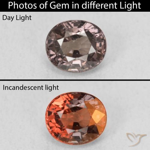 1.00ct Natural Marrón oscuro Granate que cambia de color, Ovalada, VS