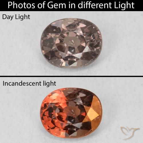 0.97ct Natural Marrón oscuro Granate que cambia de color, Ovalada, VS