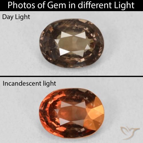 1.26ct Natural Marrón oscuro Granate que cambia de color, Ovalada, VS