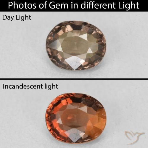 1.03ct Natural Marrón cálido Granate que cambia de color, Ovalada, VVS