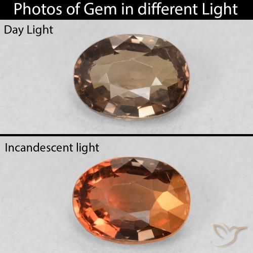 1.16ct Natural Marrón medio Granate que cambia de color, Ovalada, VVS