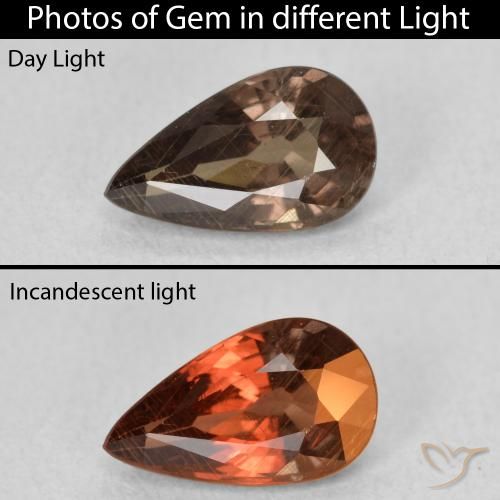 1.41ct Natural Marrón oscuro Granate que cambia de color, En forma de pera, VS