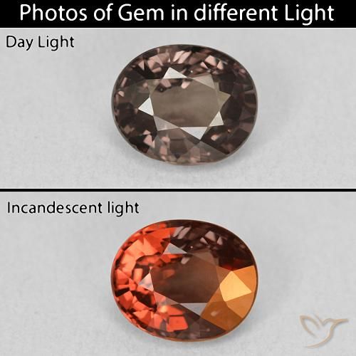 1.78ct Natural Marrón medio Granate que cambia de color, Ovalada, VVS-VS