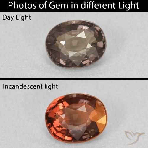 1.05ct Natural Marrón medio Granate que cambia de color, Ovalada, VVS