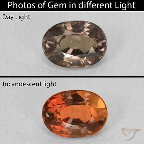 1.04ct Natural Marrón nogal Granate que cambia de color, Ovalada, VVS