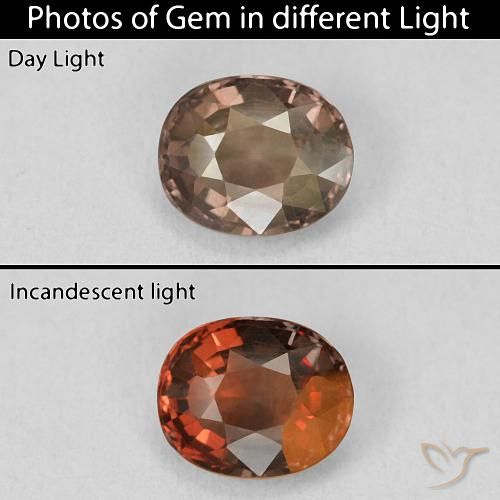 1.46ct Natural Marrón nuez Granate que cambia de color, Forma Cojín, VVS-VS
