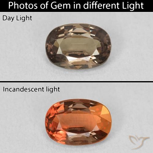 1.07ct Natural Marrón claro medio Granate que cambia de color, Ovalada, VVS-VS