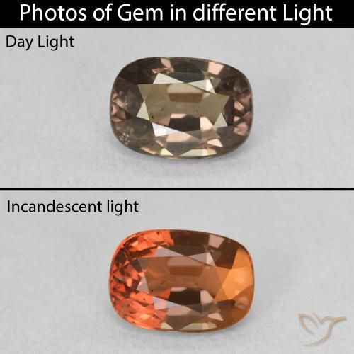 1.52ct Natural Marrón claro medio Granate que cambia de color, Forma Cojín, VS