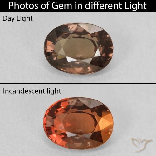 1.64ct Natural Marrón claro medio Granate que cambia de color, Ovalada, VS