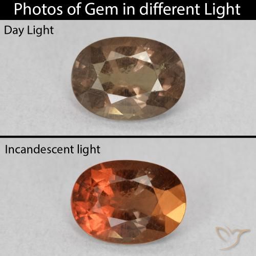 0.93ct Natural Marrón claro medio Granate que cambia de color, Ovalada, VS