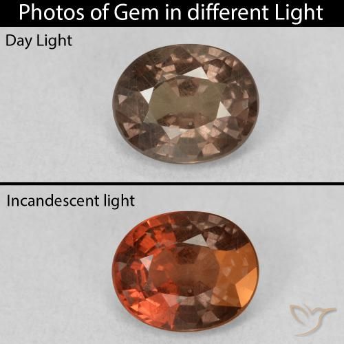 1.07ct Natural Marrón claro medio Granate que cambia de color, Ovalada, VS