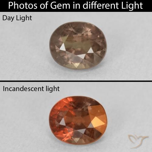 1.21ct Natural Marrón claro medio Granate que cambia de color, Ovalada, VS