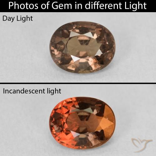 1.39ct Natural Marrón claro medio Granate que cambia de color, Ovalada, VS