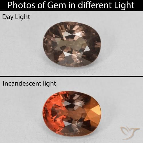1.57ct Natural Marrón oscuro Granate que cambia de color, Ovalada, VS
