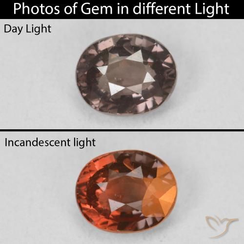 1.17ct Natural Marrón claro medio Granate que cambia de color, Ovalada, VS