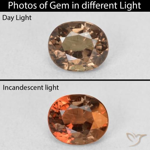 0.94ct Natural Marrón oscuro Granate que cambia de color, Ovalada, VS