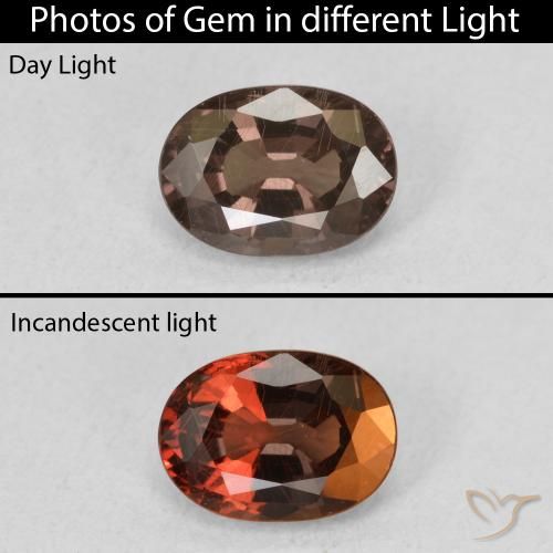 1.34ct Natural Marrón oscuro Granate que cambia de color, Ovalada, VS