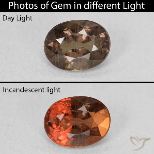 0.97ct Natural Marrón oscuro Granate que cambia de color, Ovalada, VS