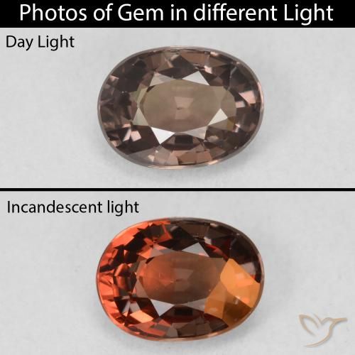 1.19ct Natural Marrón oscuro Granate que cambia de color, Ovalada, VVS-VS