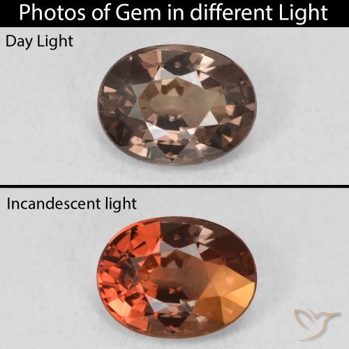 1.21ct Natural Marrón oscuro Granate que cambia de color, Ovalada, VVS-VS