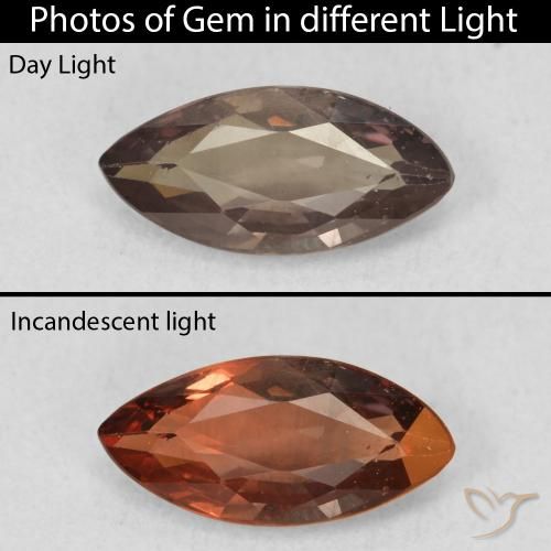 1.03ct Natural Marrón oscuro Granate que cambia de color, Marquesa, VVS-VS