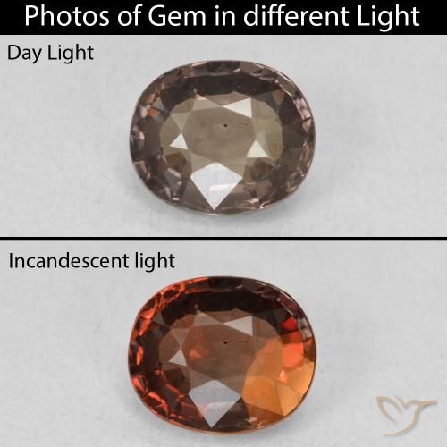 1.30ct Natural Marrón oscuro Granate que cambia de color, Ovalada, VVS-VS