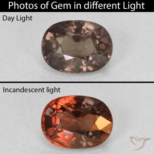 1.47ct Natural Marrón oscuro Granate que cambia de color, Ovalada, VVS-VS