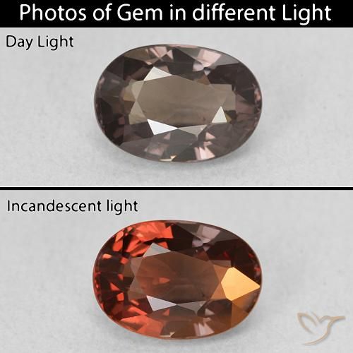 1.50ct Natural Marrón oscuro Granate que cambia de color, Ovalada, VVS-VS