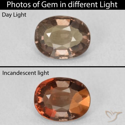 1.32ct Natural Marrón oscuro Granate que cambia de color, Ovalada, VVS-VS