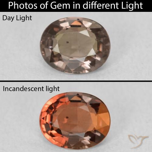 1.02ct Natural Marrón oscuro Granate que cambia de color, Ovalada, VVS-VS
