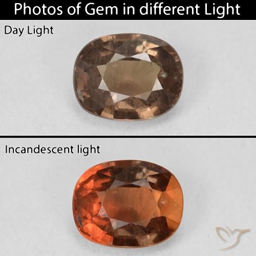 1.50ct Natural Marrón oscuro Granate que cambia de color, Forma Cojín, VS