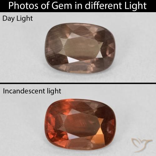 1.50ct Natural Marrón oscuro Granate que cambia de color, Forma Cojín, VS