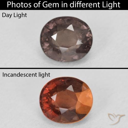 1.50ct Natural Marrón claro medio Granate que cambia de color, Ovalada, VS