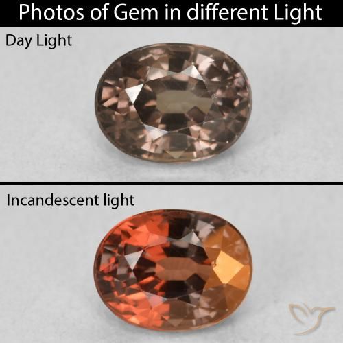 0.98ct Natural Marrón oscuro Granate que cambia de color, Ovalada, VVS