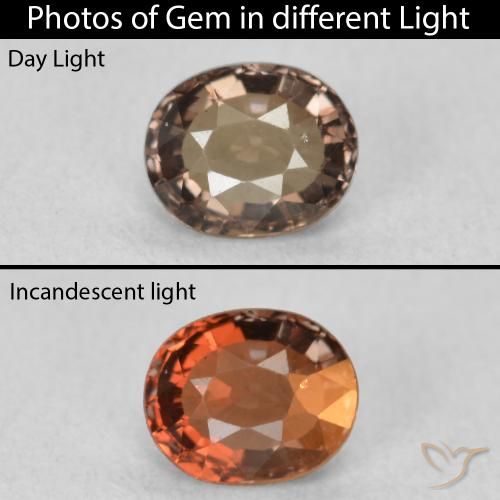 0.80ct Natural Marrón oscuro Granate que cambia de color, Ovalada, VVS