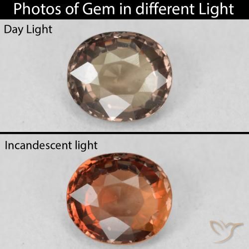 1.16ct Natural Marrón oscuro Granate que cambia de color, Ovalada, VVS