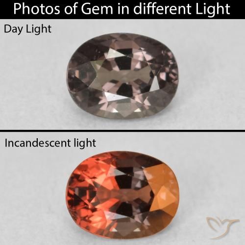 0.92ct Natural Marrón nuez Granate que cambia de color, Ovalada, VVS