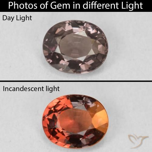 1.03ct Natural Marrón nogal Granate que cambia de color, Ovalada, VVS