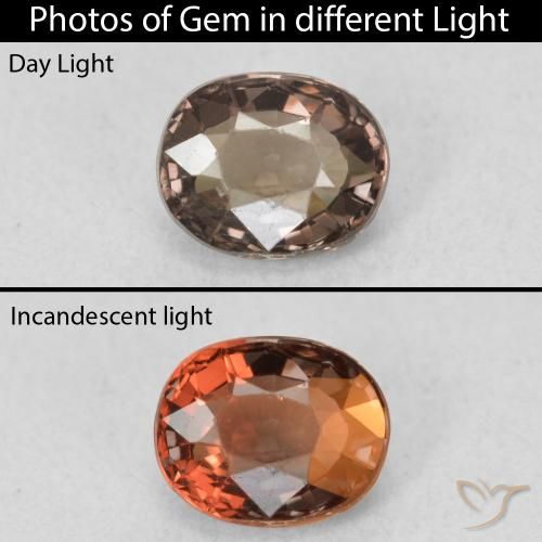 0.96ct Natural Marrón nuez Granate que cambia de color, Ovalada, VVS
