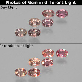 Gemas de Zafiro que cambia de color Multicolor natural de 1.49 ct, Corte Óvalo, VS